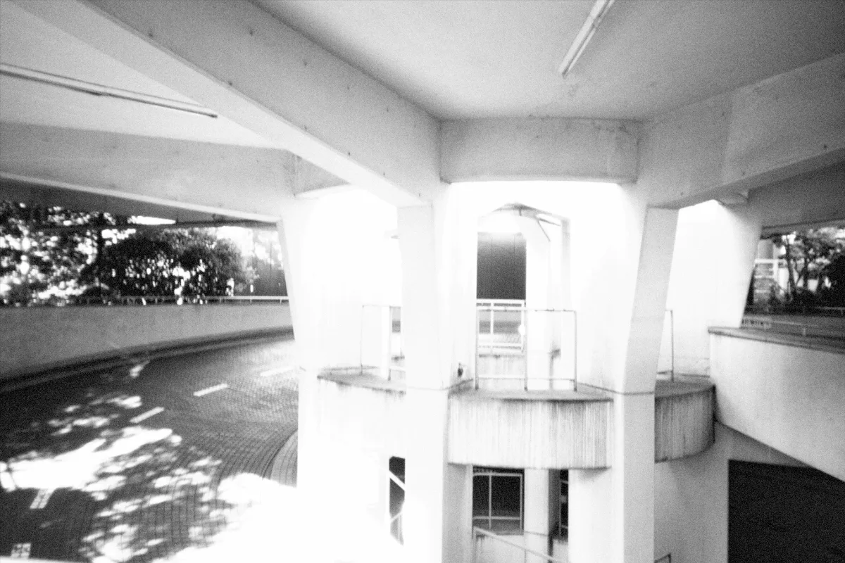 2024-12-15-flashbackmono-1.jpg