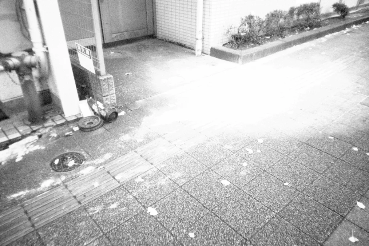 2024-12-20-flashbackmono-22.jpg