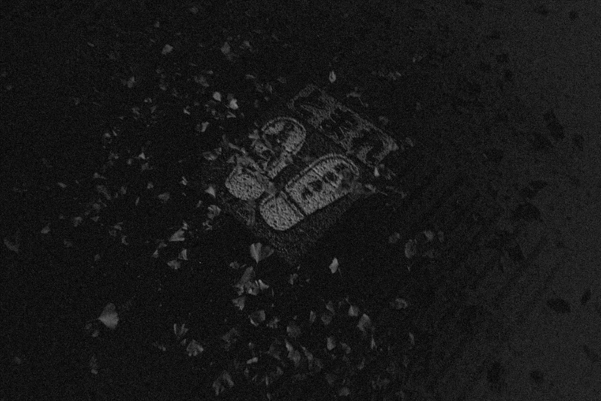 2024-12-20-flashbackmono-25.jpg