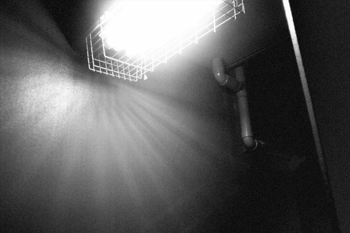 2024-12-26-flashbackmono-4.jpg