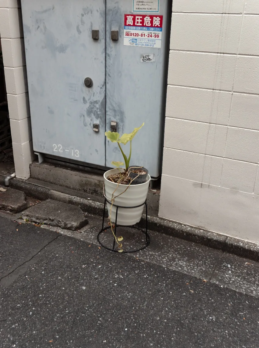 20240109-IMGP4654.jpg