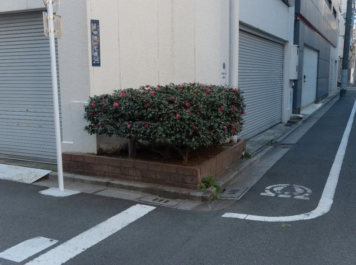 20240109-IMGP4658.jpg