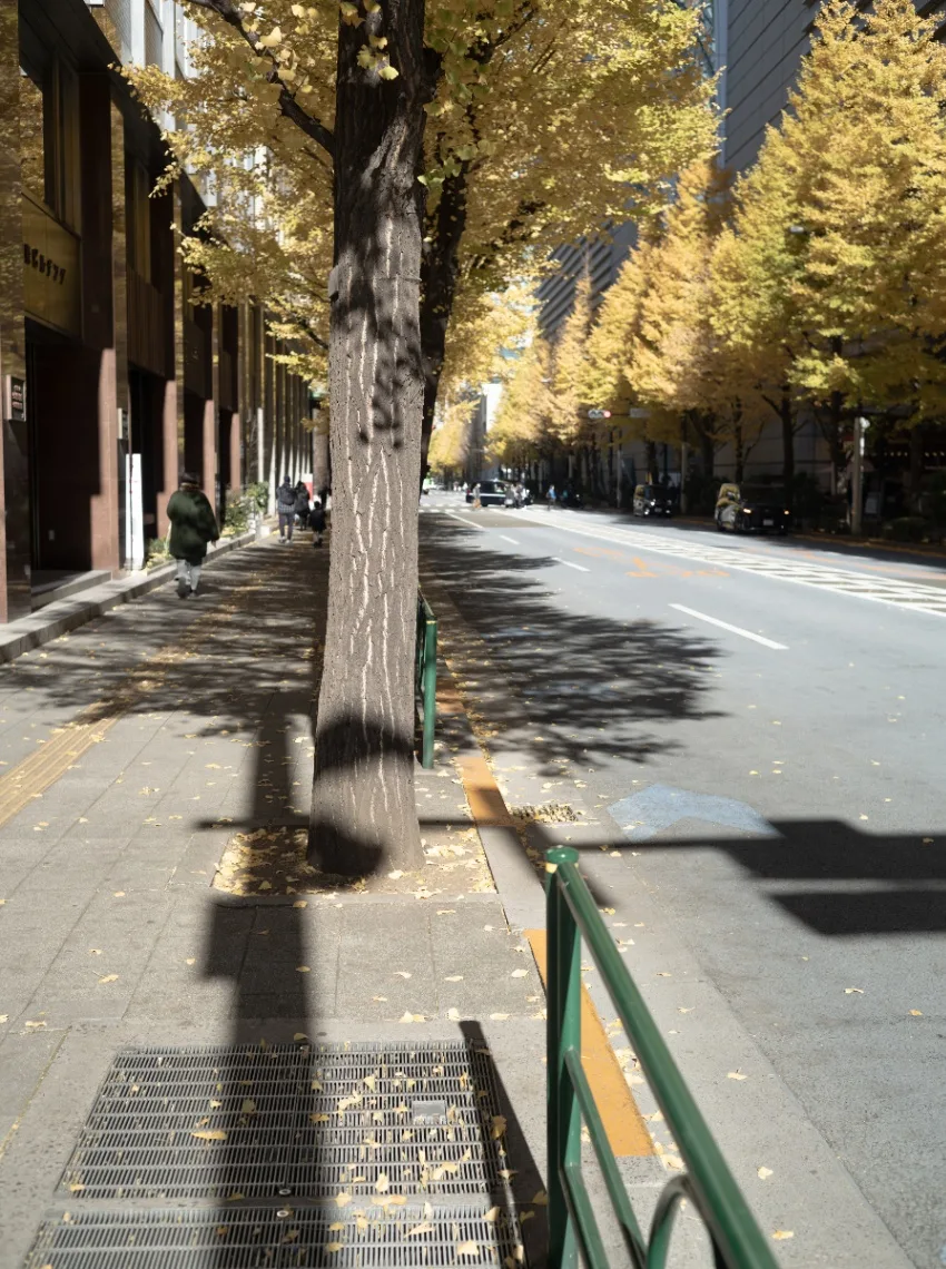 20241215-L1002213-DNG.jpg