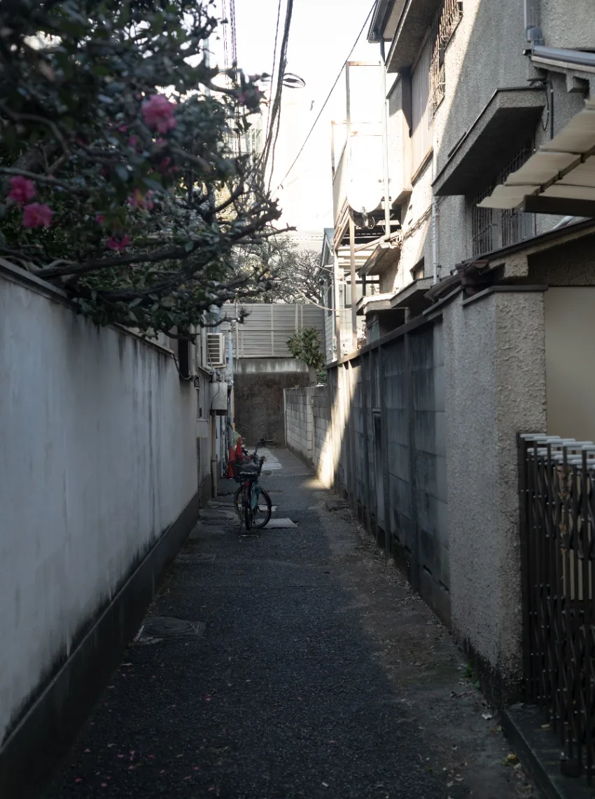 20241221-L1002266-DNG.jpg