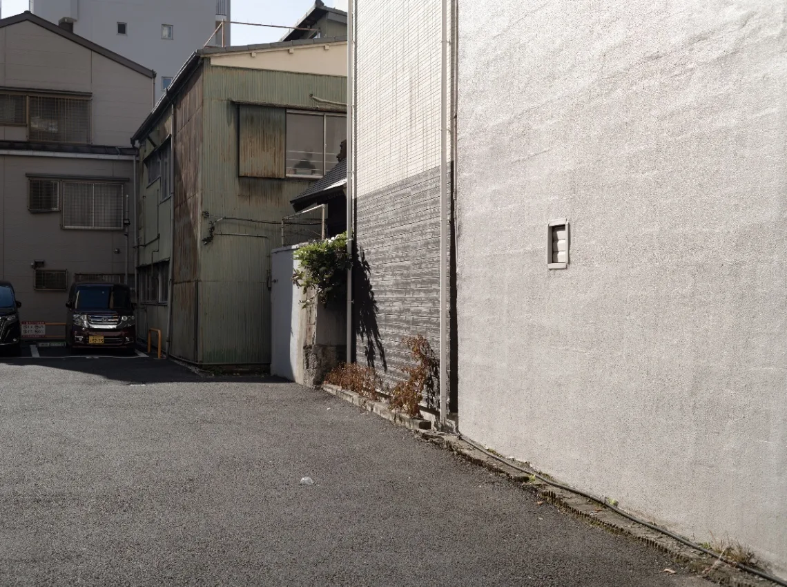 20241229-L1002300-DNG.jpg