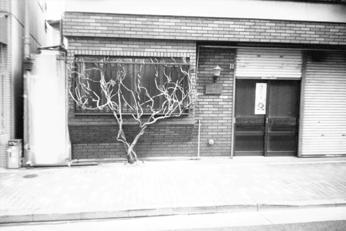 2025-01-01-flashbackmono-16.jpg