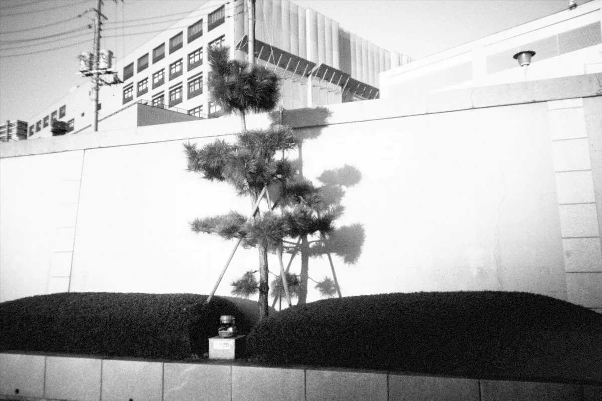 2025-01-03-flashbackmono-12.jpg