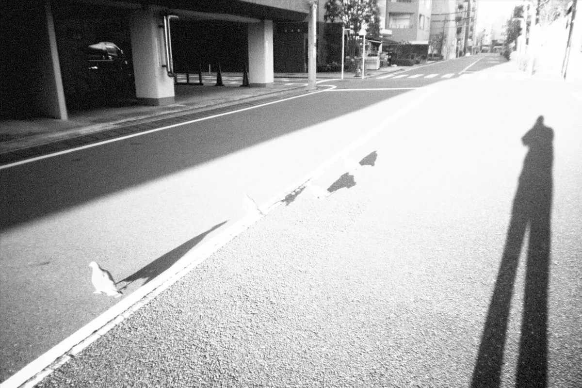 2025-01-03-flashbackmono-13.jpg