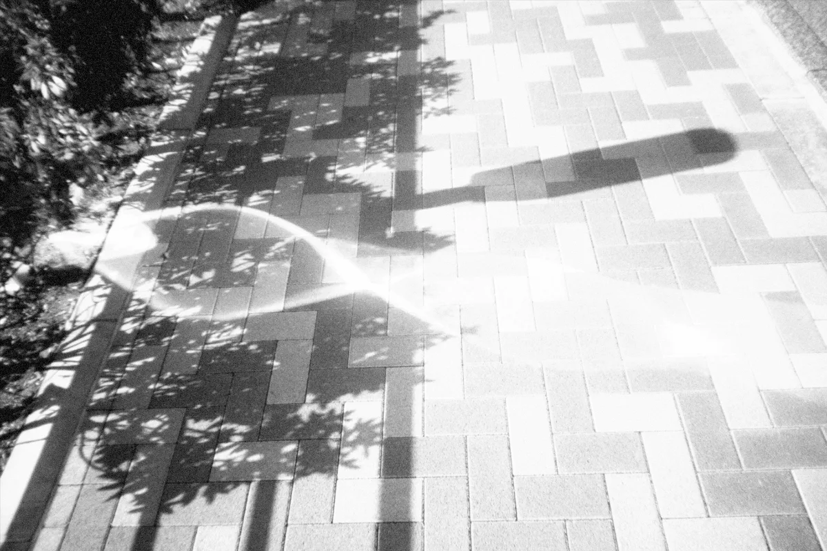 2025-01-08-flashbackmono-10.jpg
