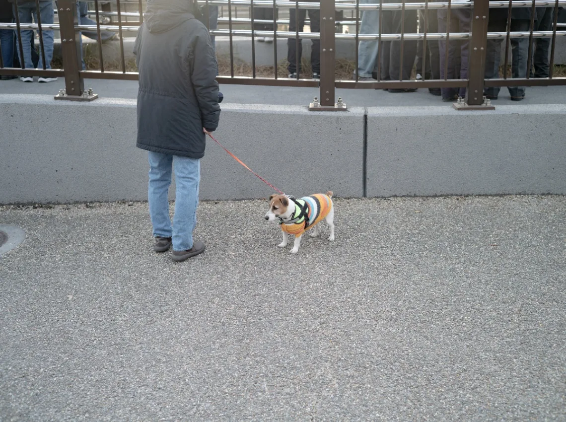 20250101-L1002377-DNG.jpg