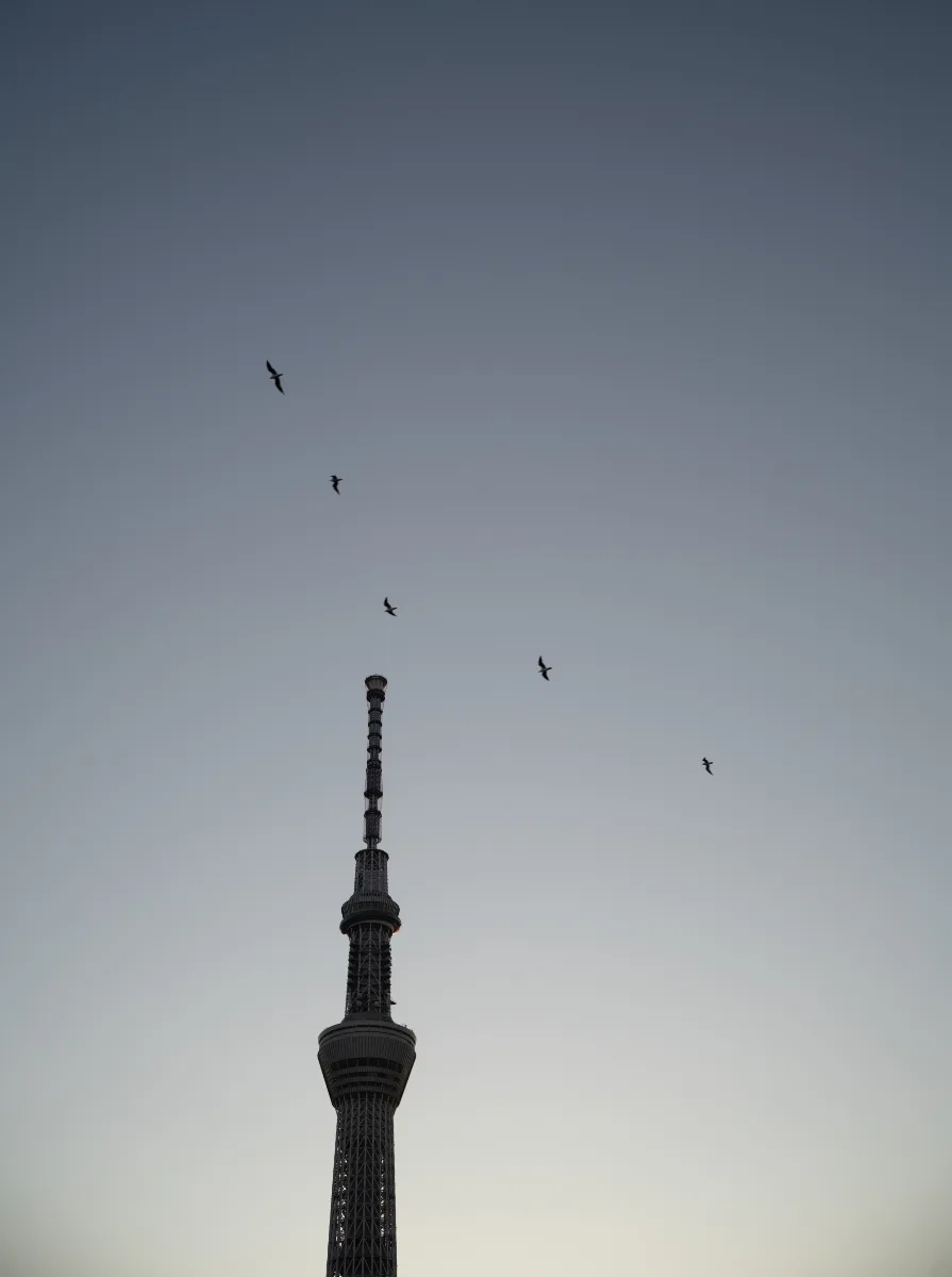 20250101-L1002387-DNG.jpg