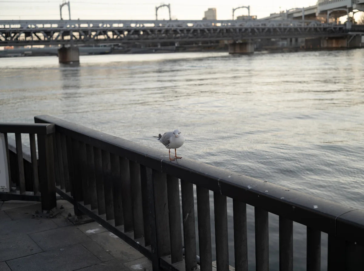 20250101-L1002402-DNG.jpg