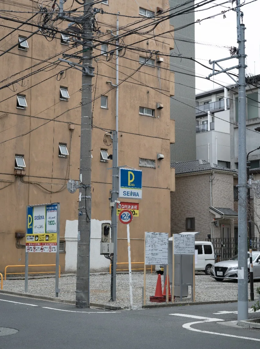 20250112-L1002512.jpg