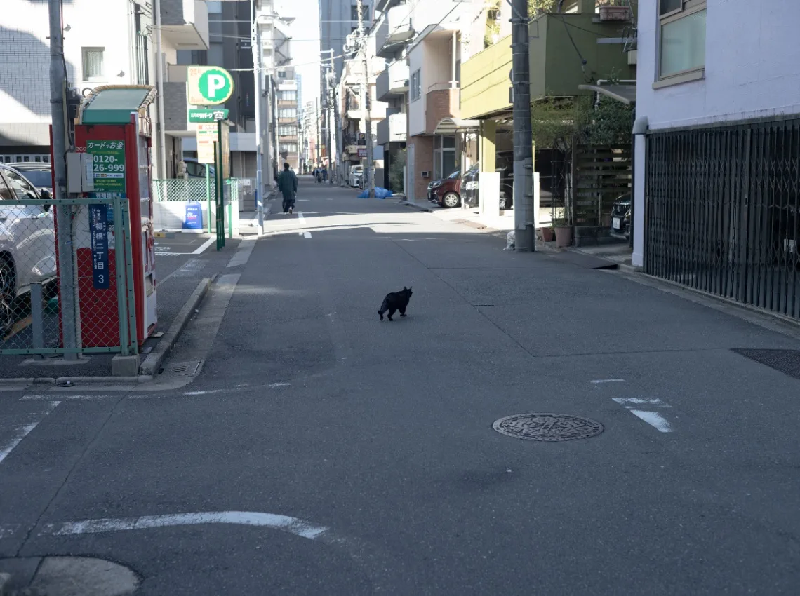 20250113-L1002647.jpg