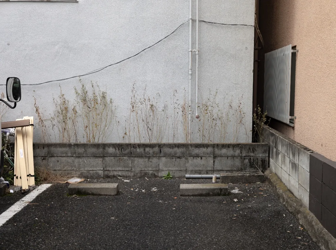 20250125-L1002739.jpg