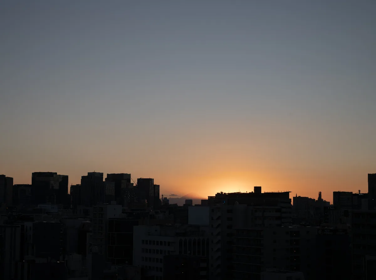 20250211-L1003317.jpg