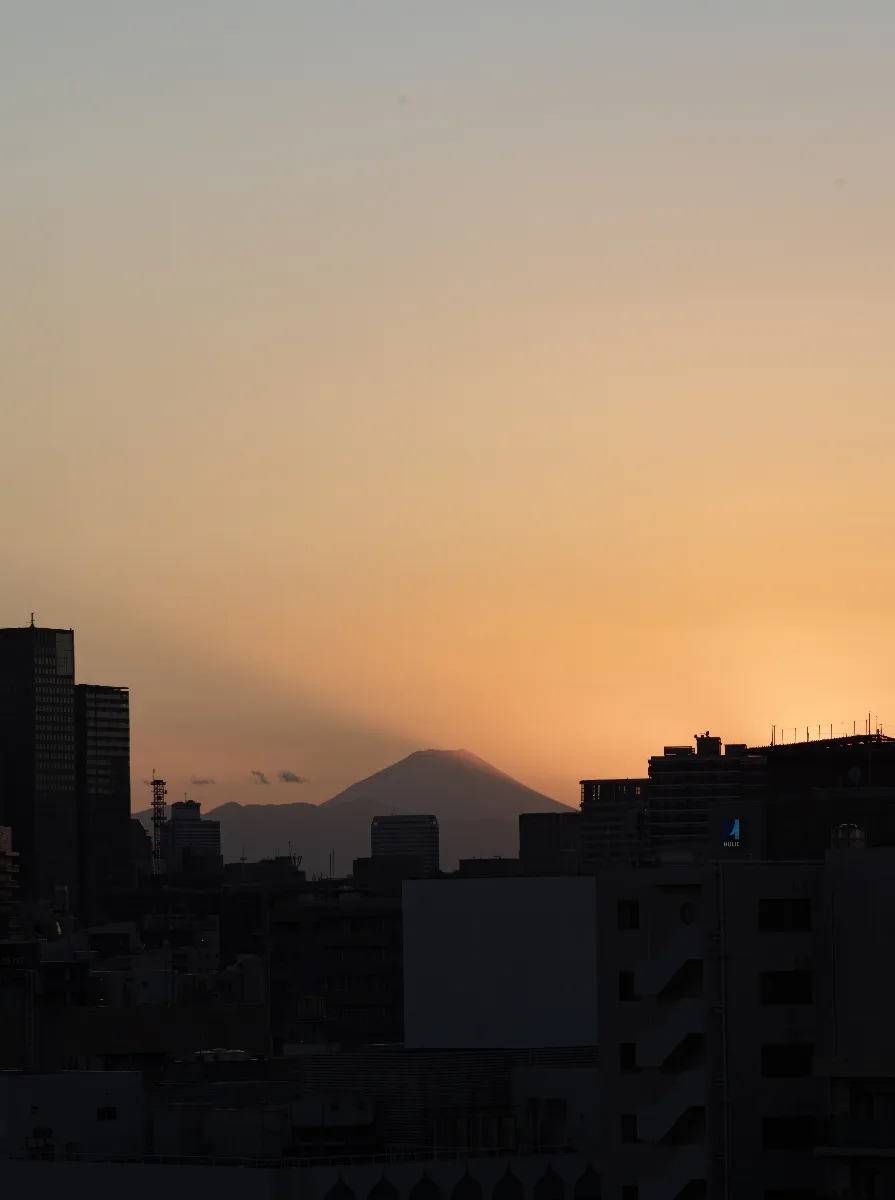 20250211-L1003322.jpg