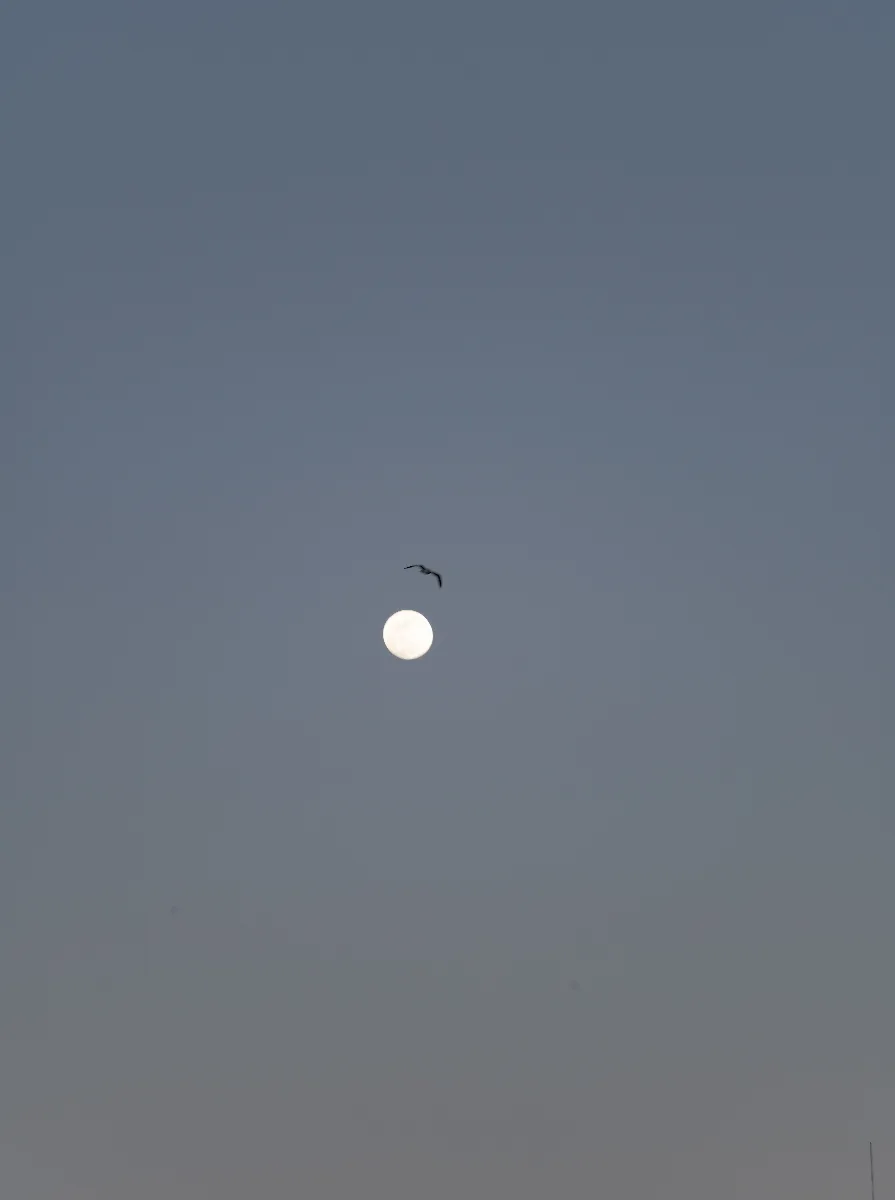 20250211-L1003326.jpg