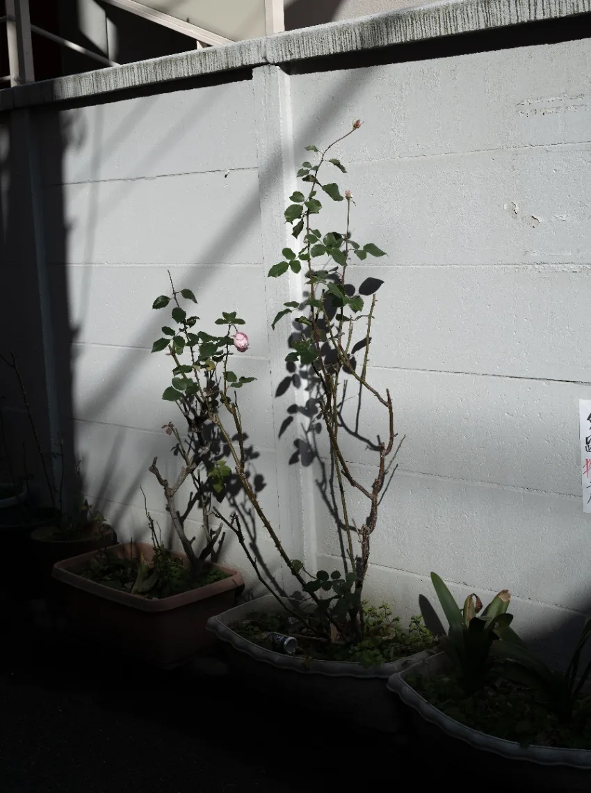 20250215-L1003400.jpg