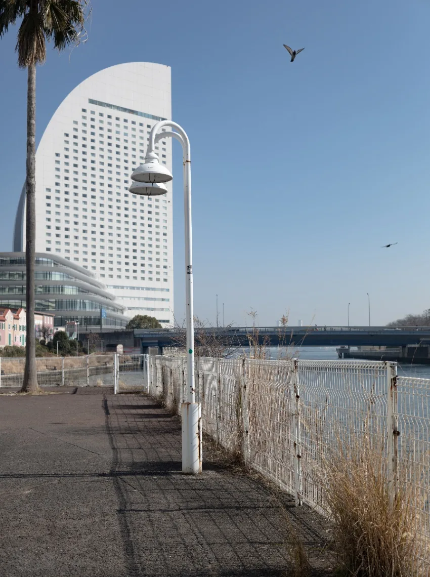 20250301-L1003666.jpg