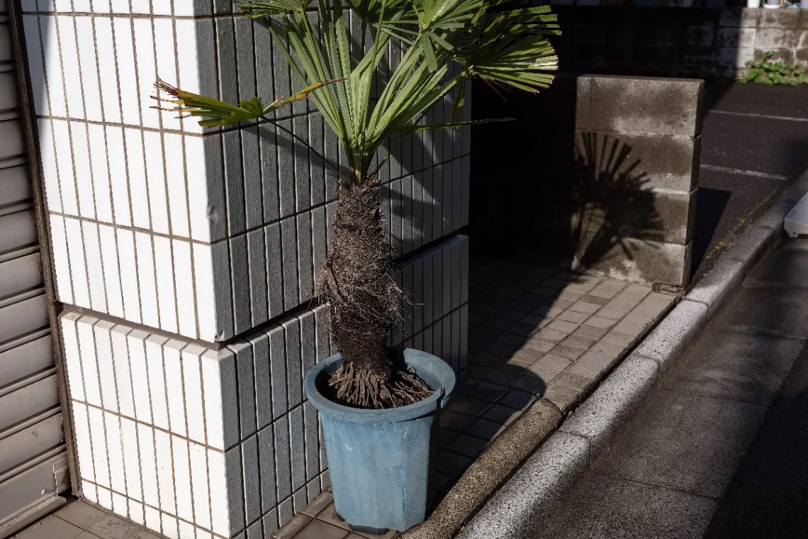 20250317-R0000154.jpg