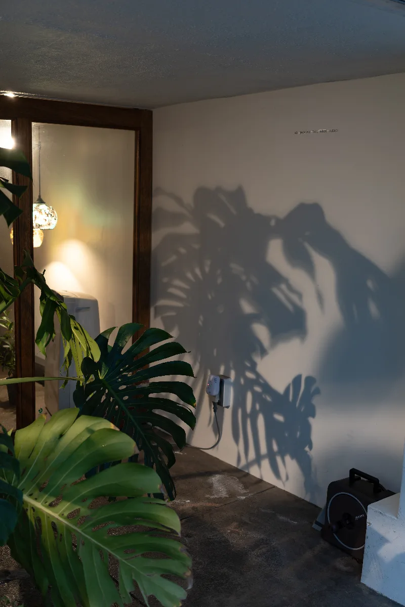 20250329-R0000362.jpg