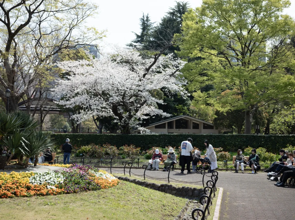 20250405-L1004505.jpg