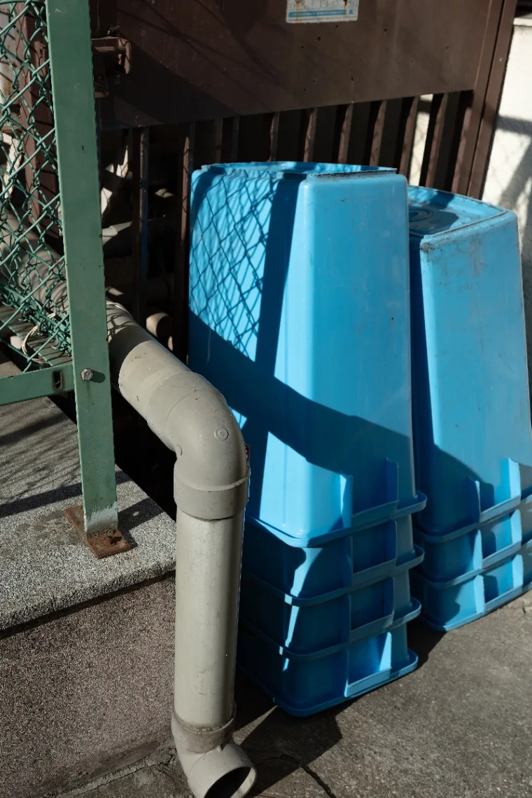 20250409-R0000450.jpg