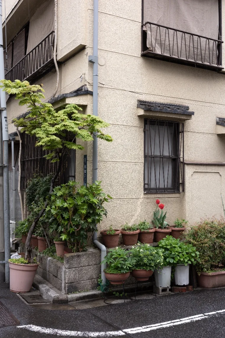 20250413-R0000469.jpg