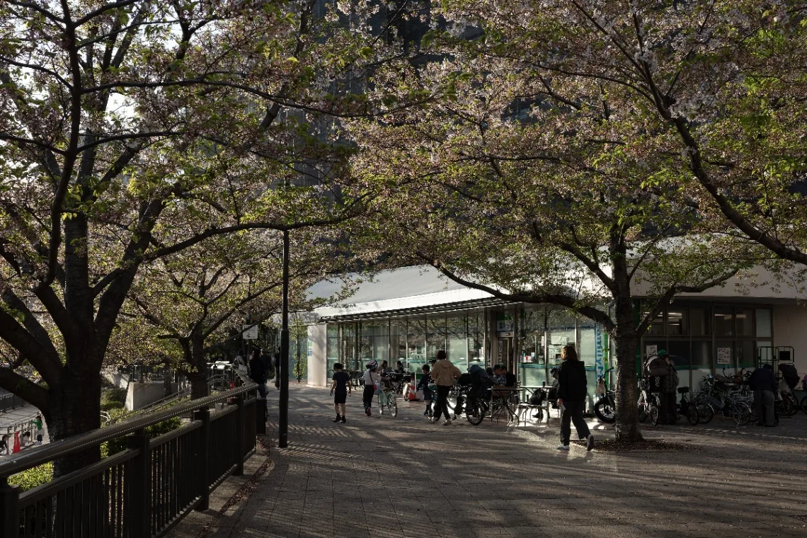 20250414-R0000496.jpg