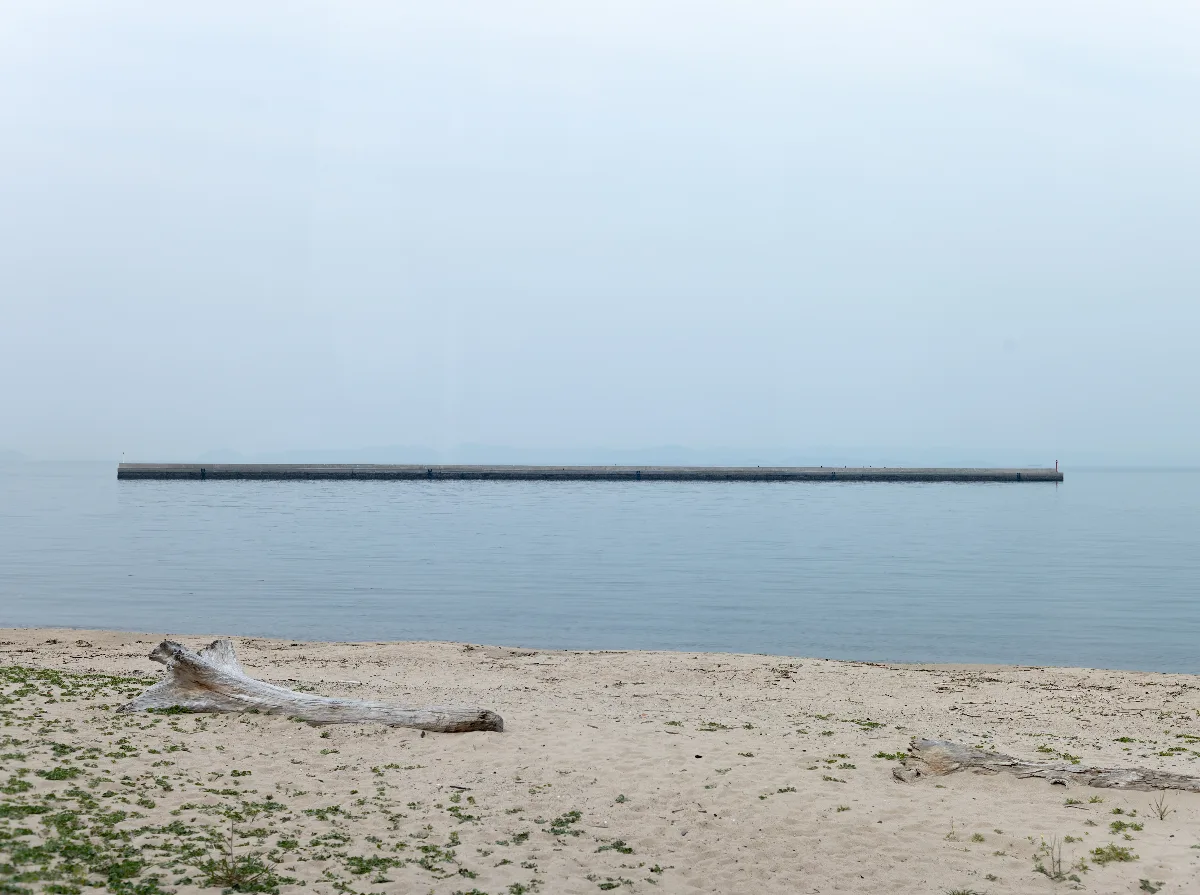 20250425-L1004913.jpg
