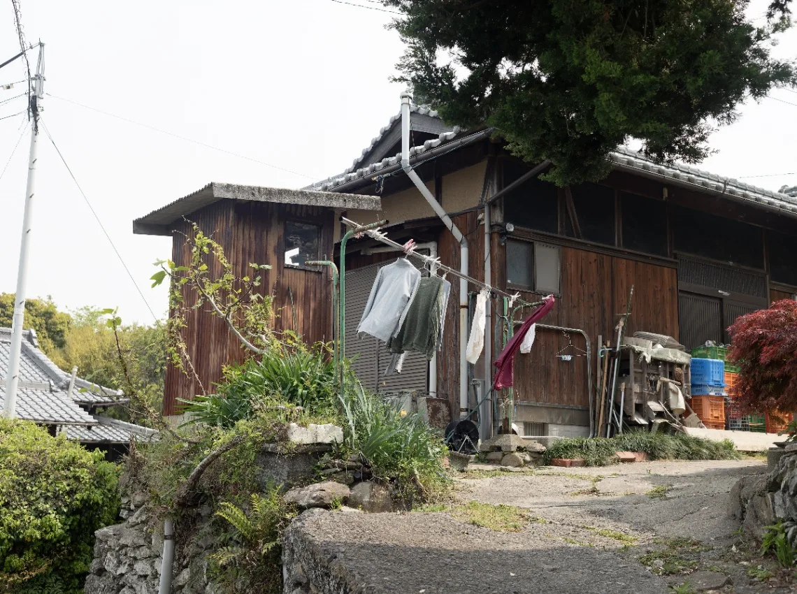 20250425-L1004934.jpg
