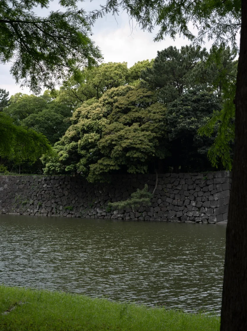 20250509-L1005915.jpg