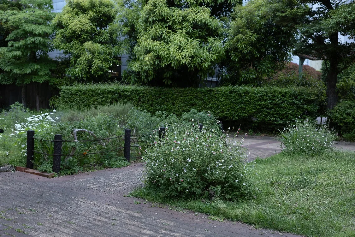 20250516-R0001003.jpg