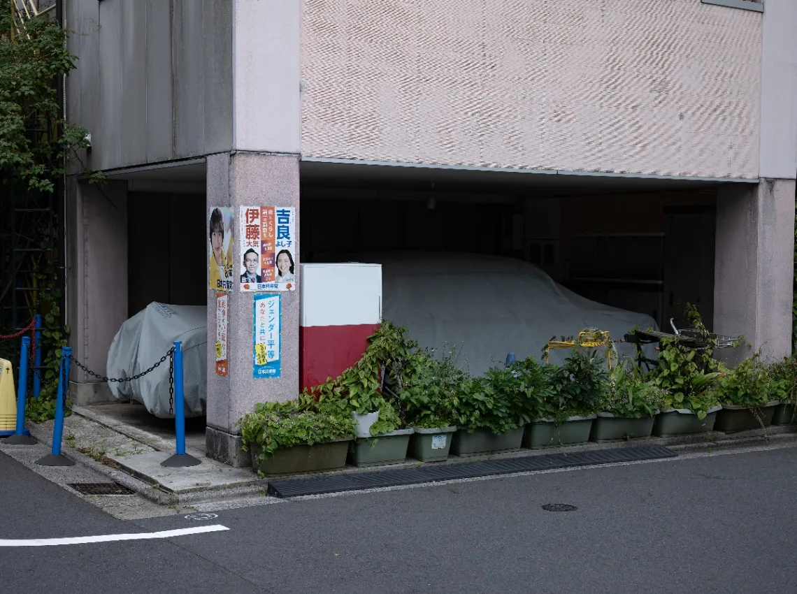 20250601-L1006108.jpg