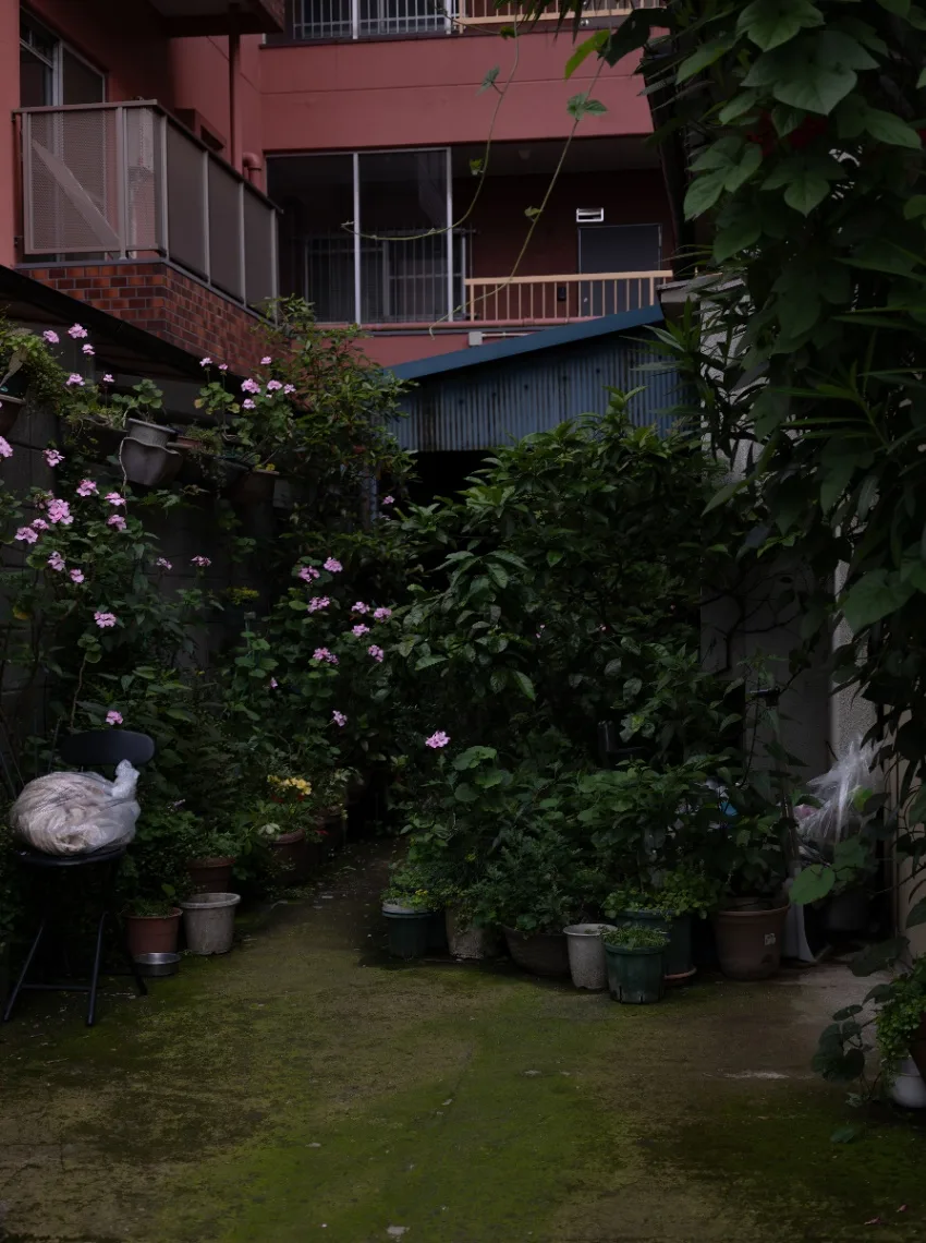20250601-L1006114.jpg