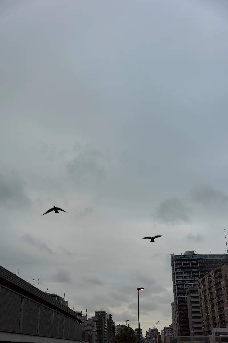 20251014-R0001743.jpg