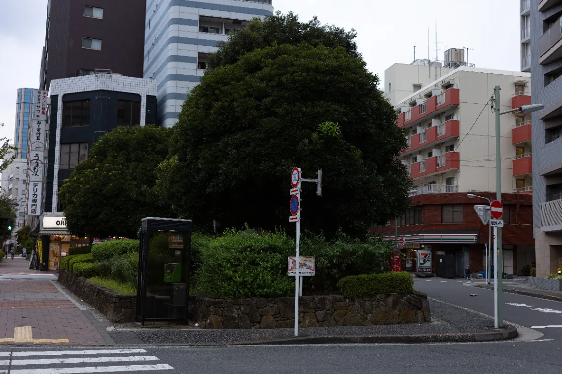 20251014-R0001747.jpg