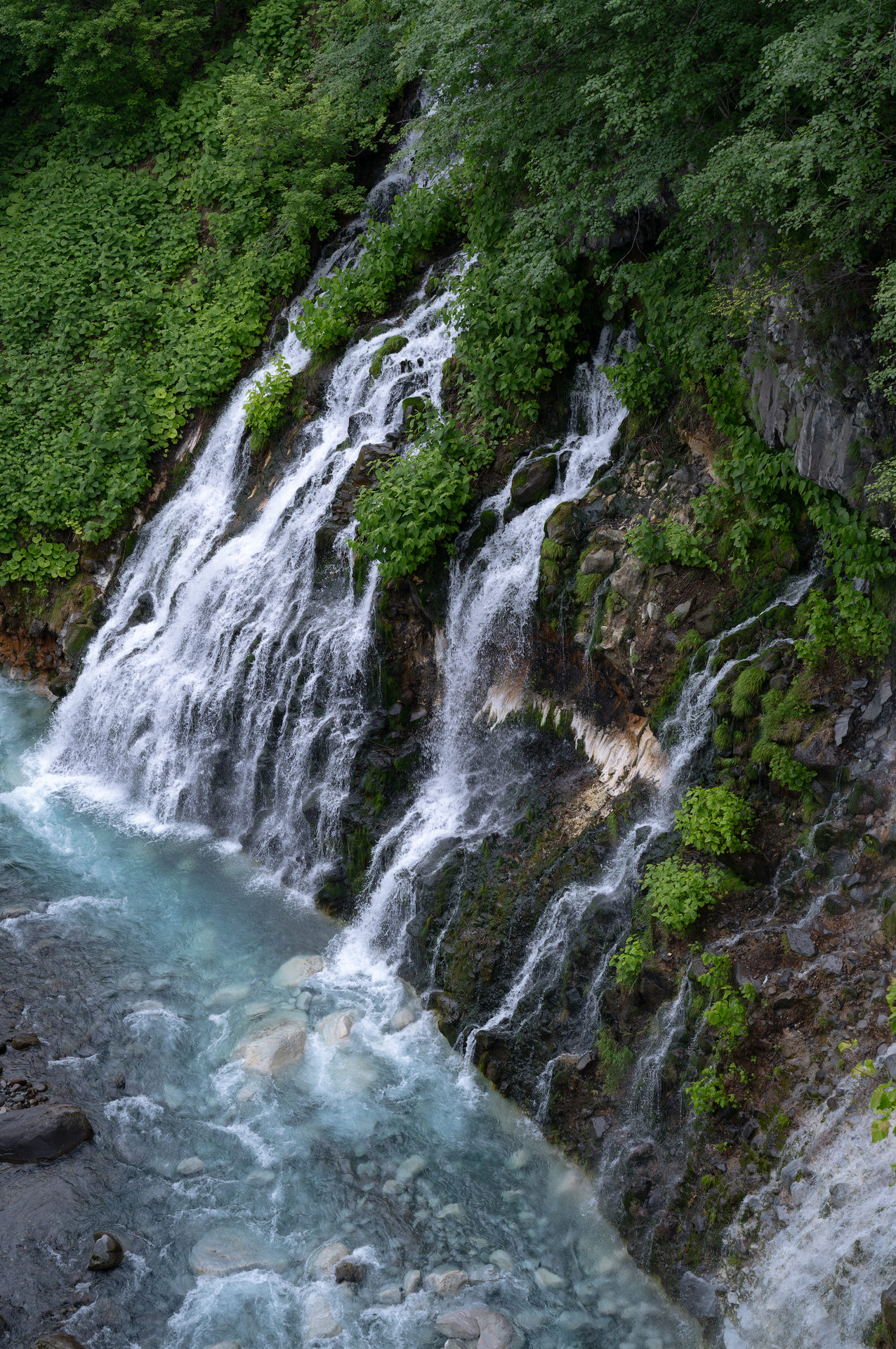 20260607-L1008238.webp