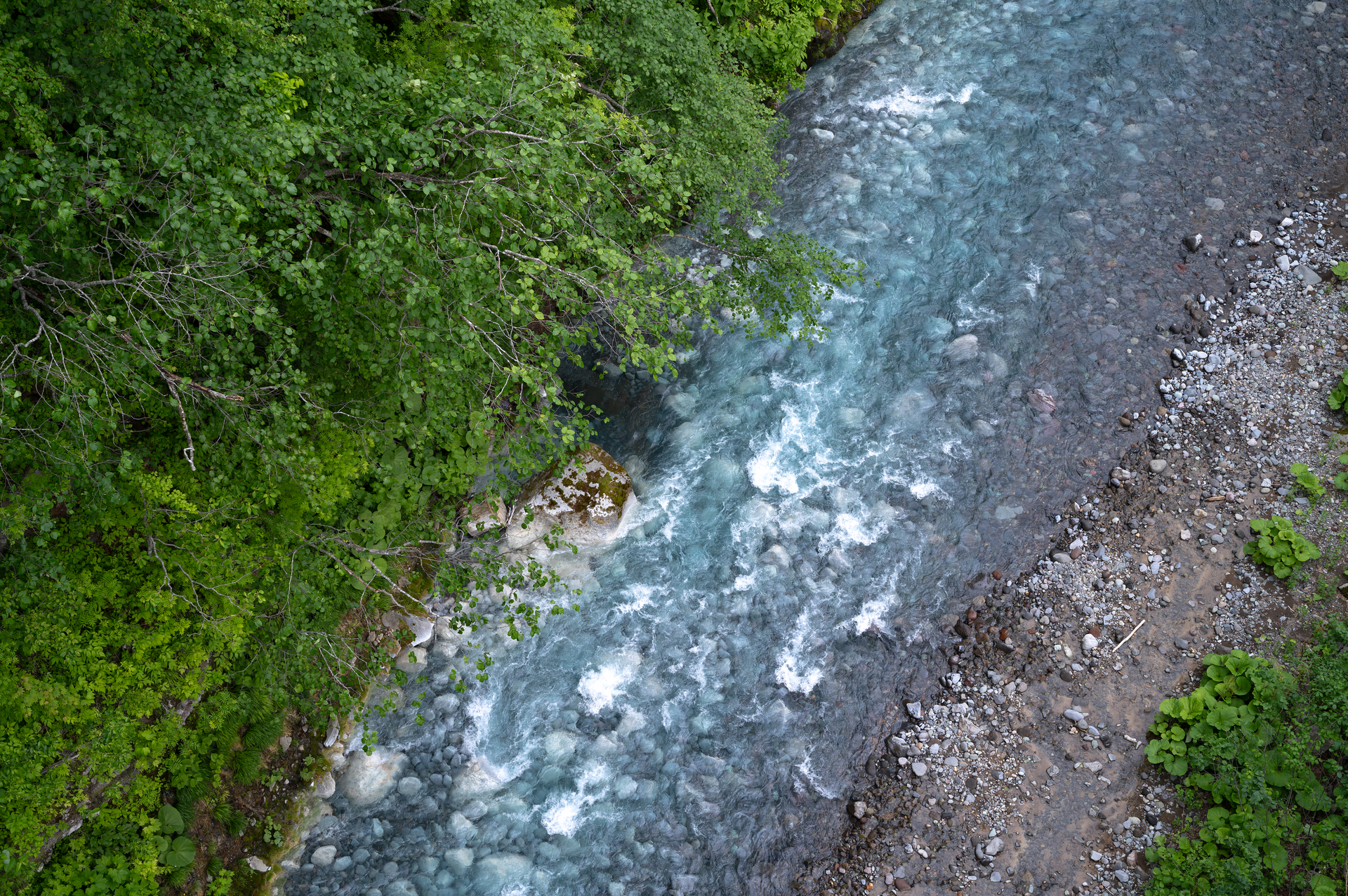 20260607-L1008242.webp