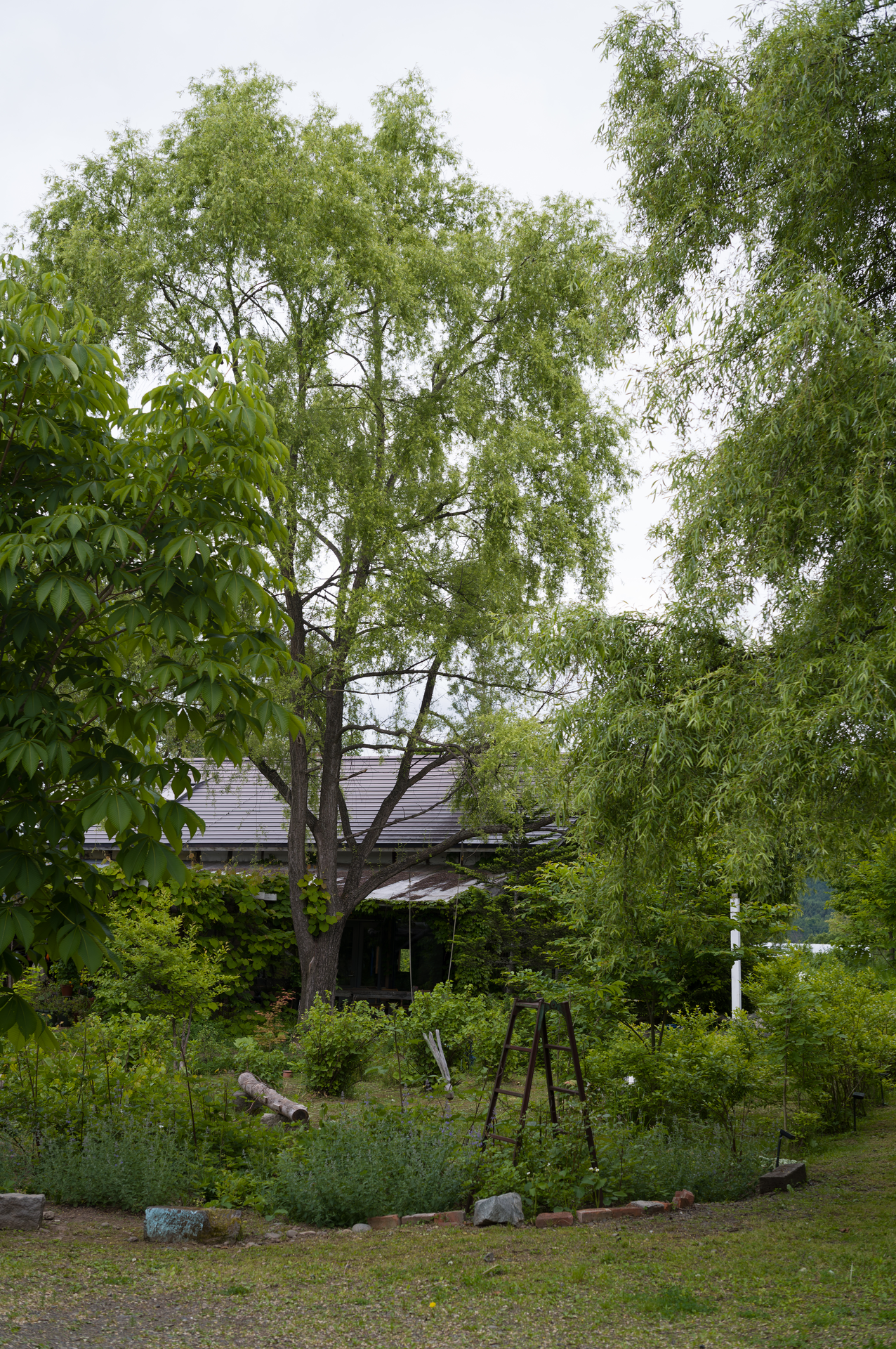 20260607-L1008257.webp