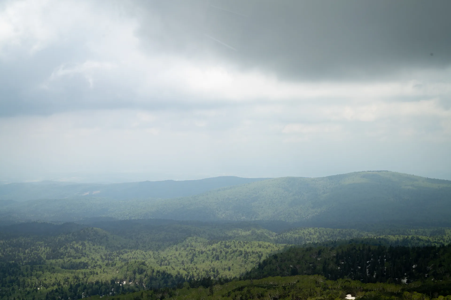 20260613-L1008367.jpg