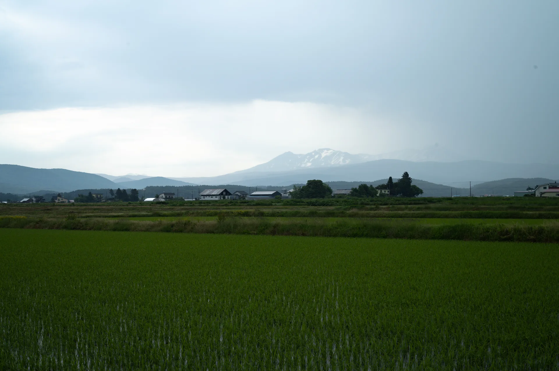 20260613-L1008391.jpg