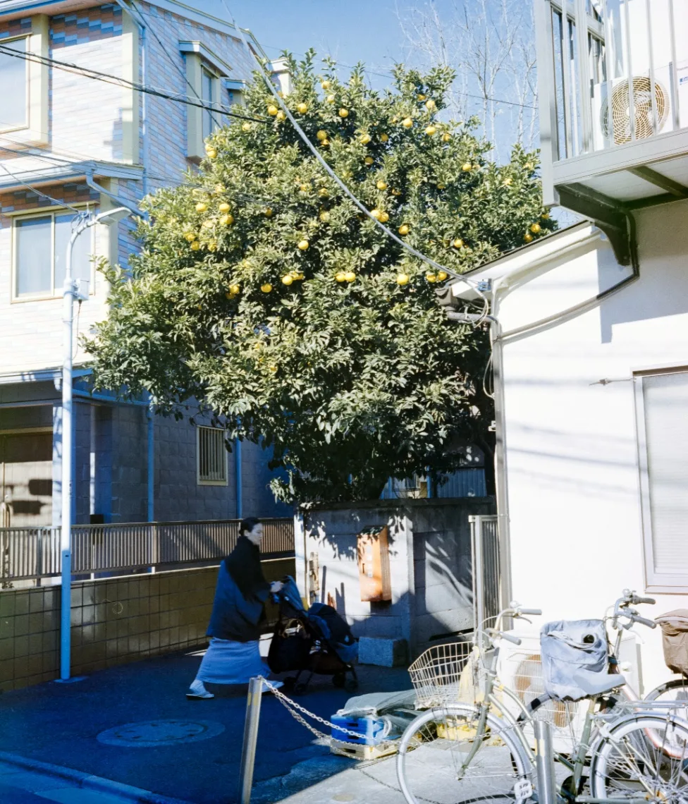 L1003439.jpg