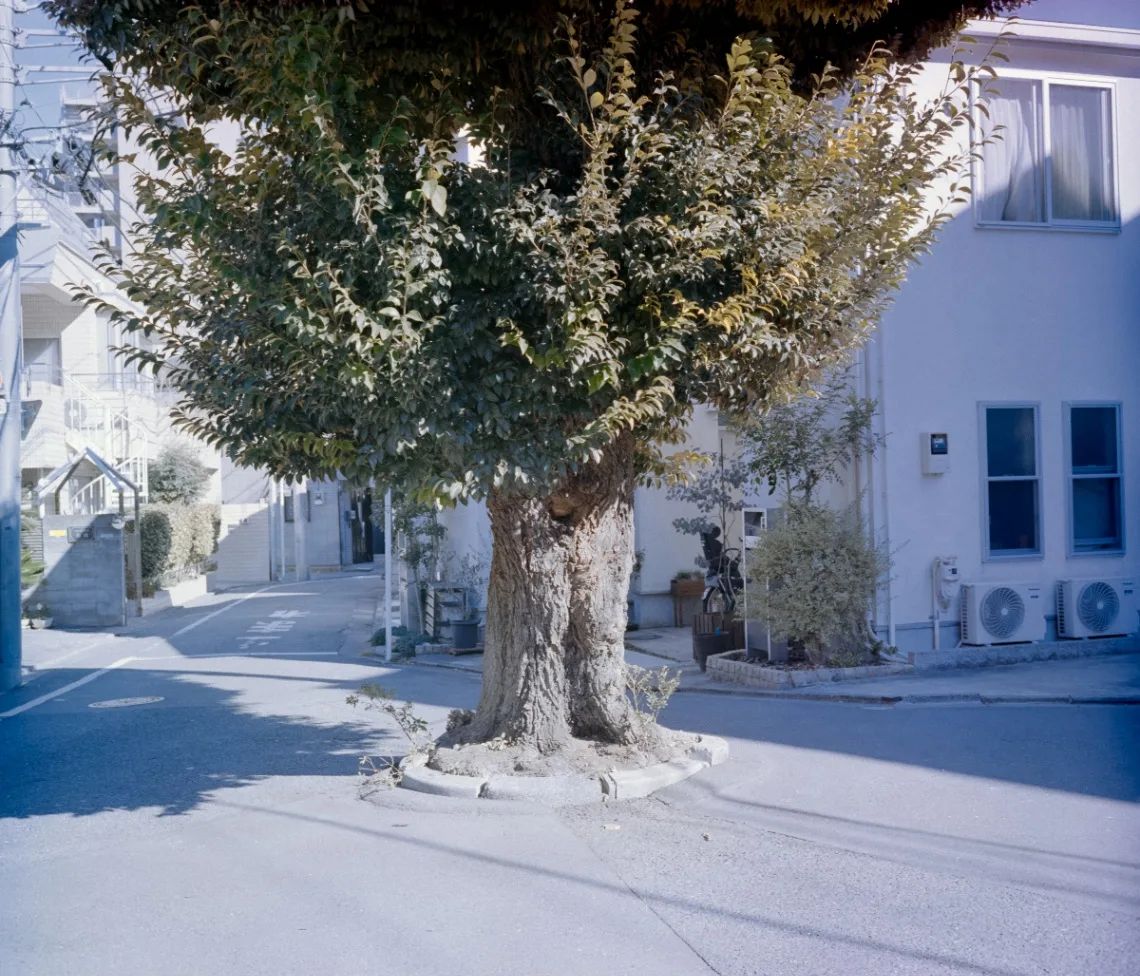 L1003440.jpg