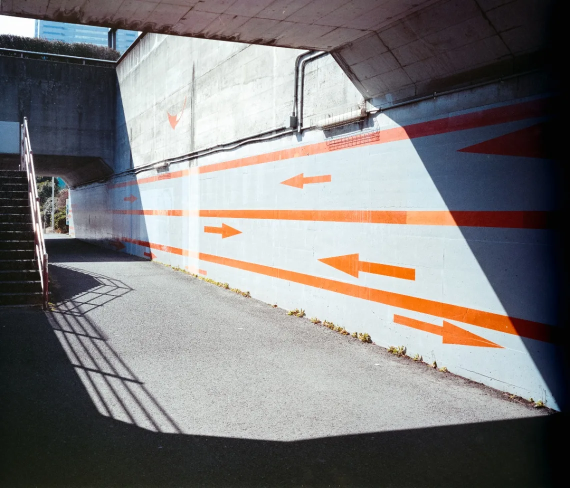 L1003786.jpg