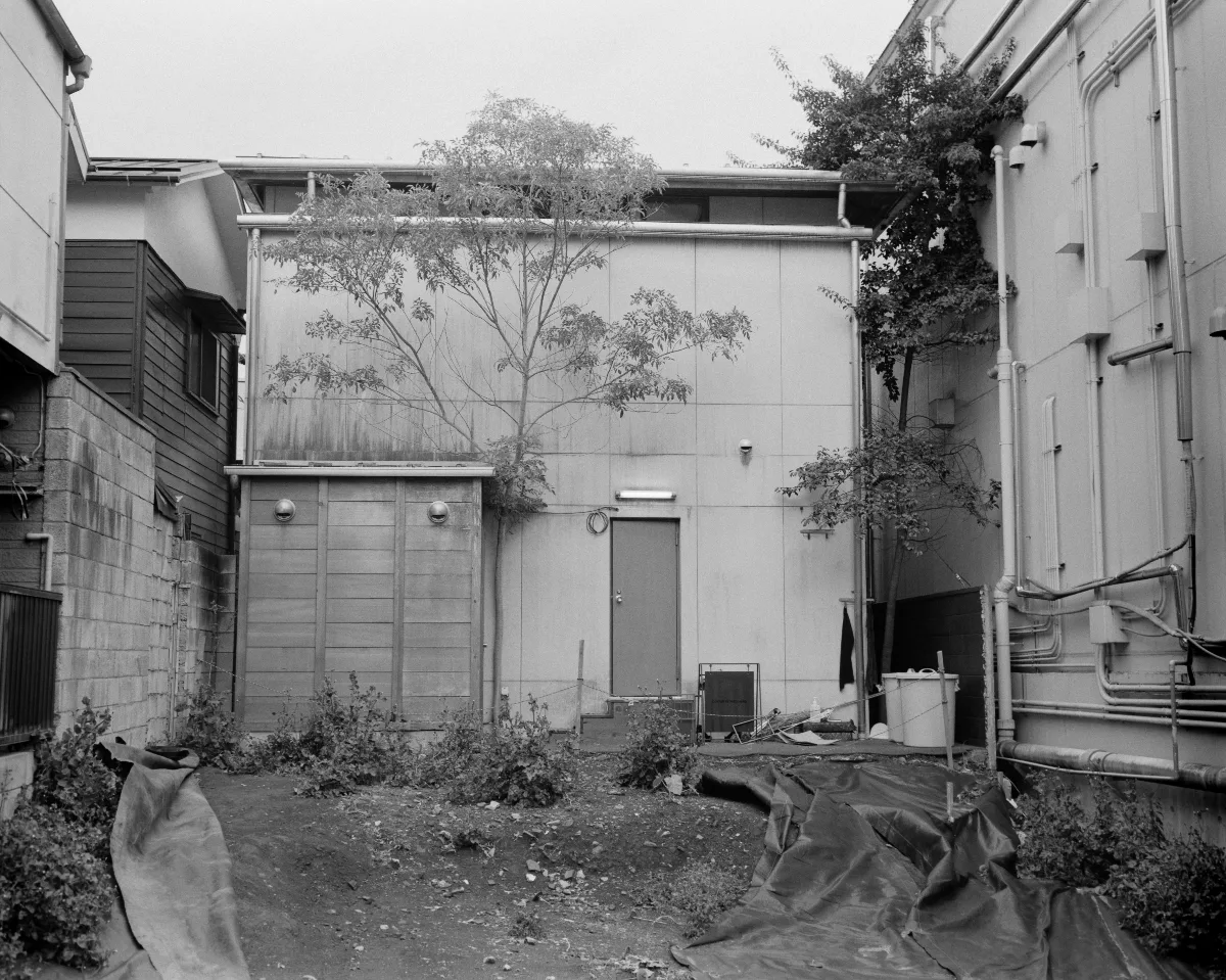 L1003809.jpg