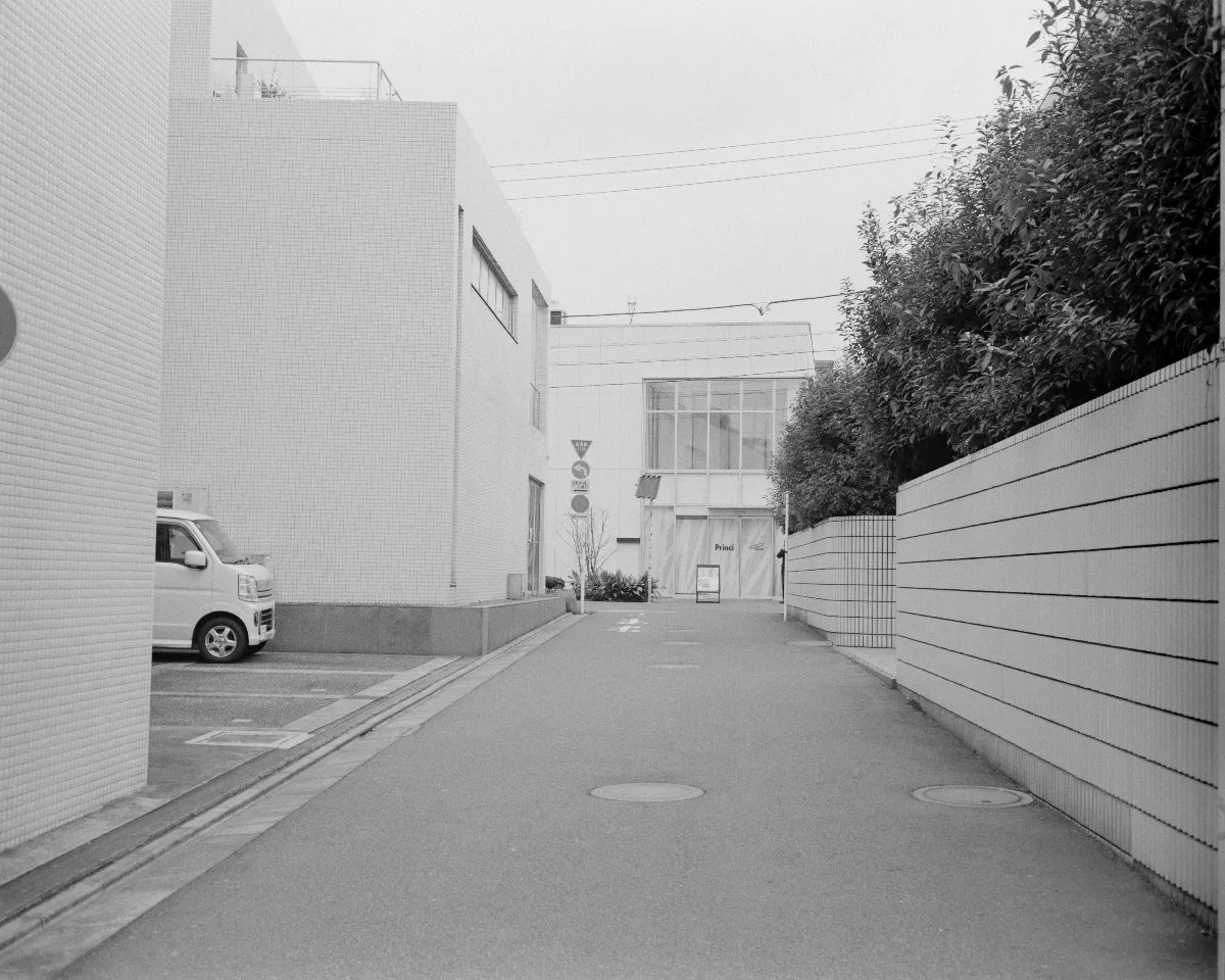 L1003812.jpg