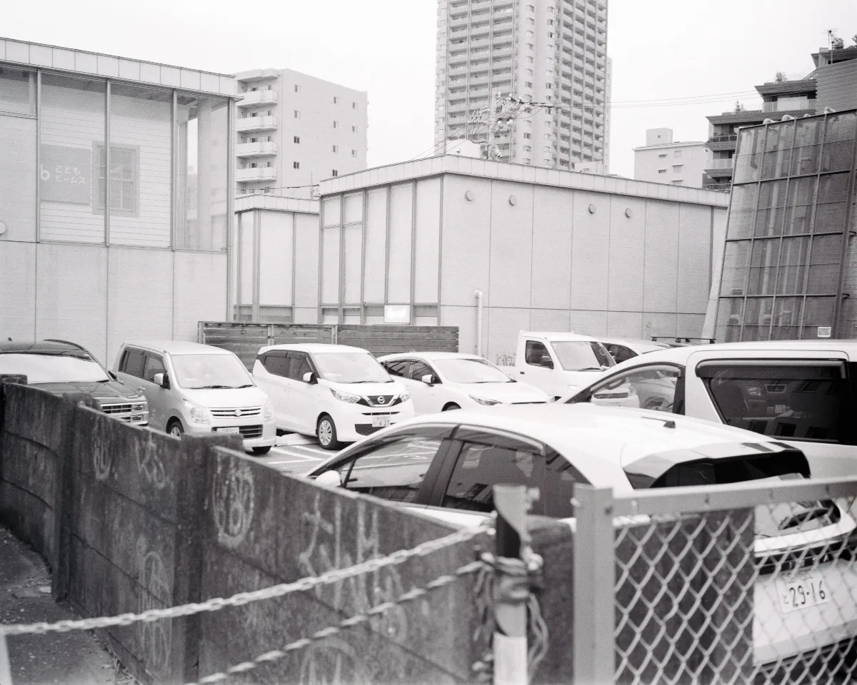 L1003814.jpg
