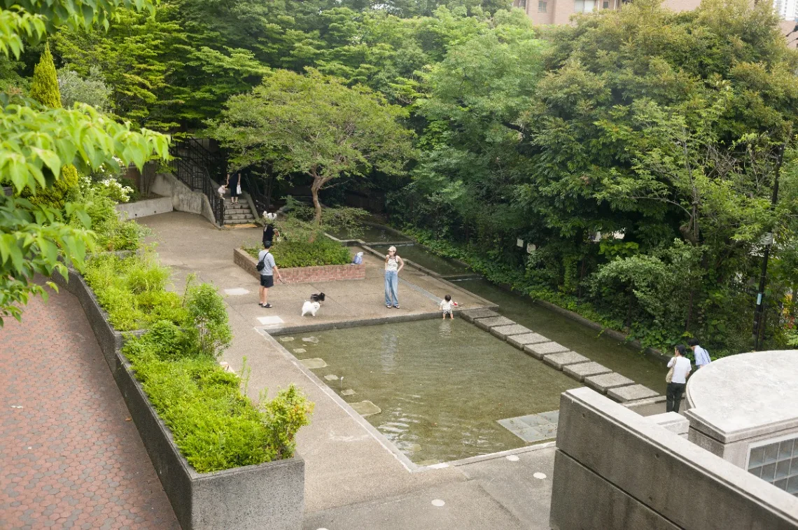 L1006362.jpg